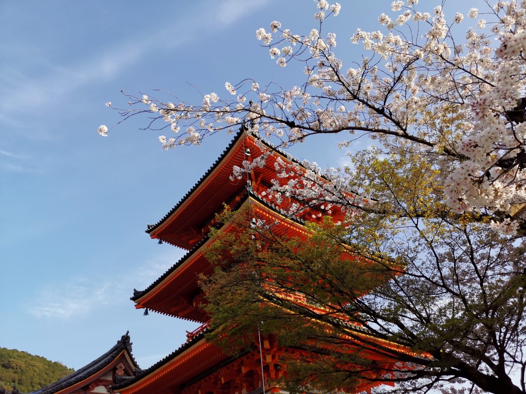 春の京都旅行 1日目